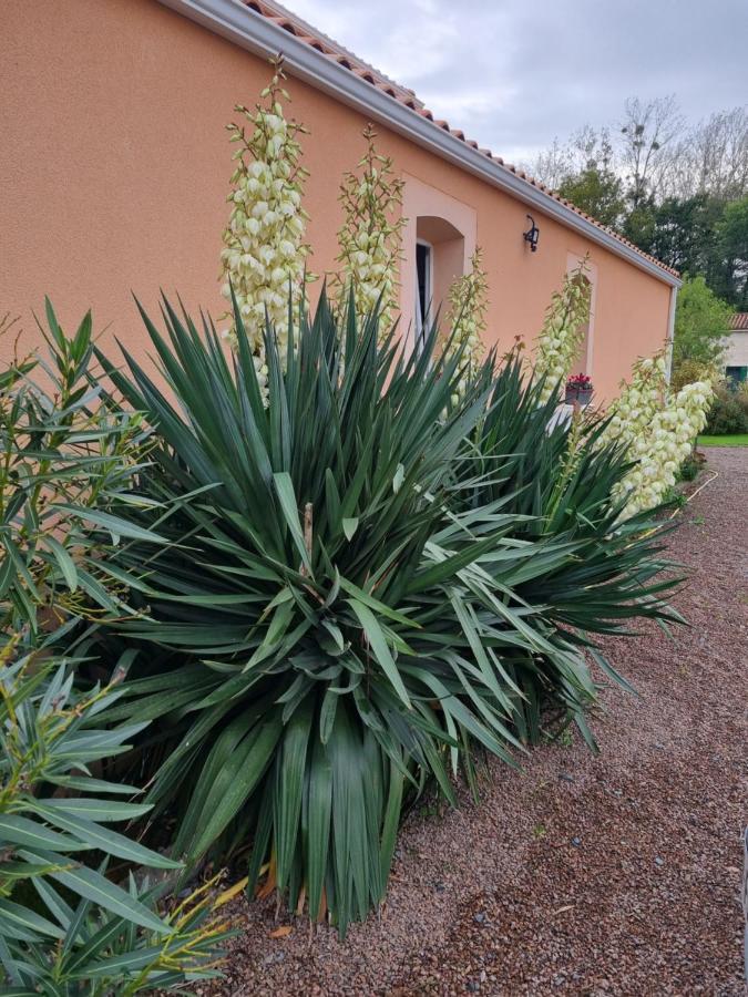 Le Logis Du Marais Bed & Breakfast Les Magnils-Reigniers Luaran gambar